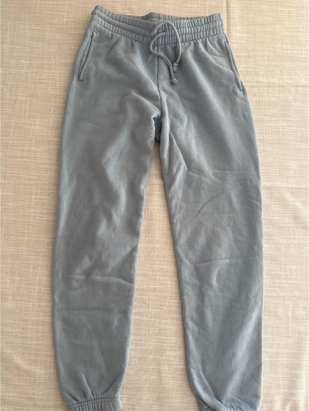 Aritzia Tna Cozy Fleece Sweatpants in Light Blue XS